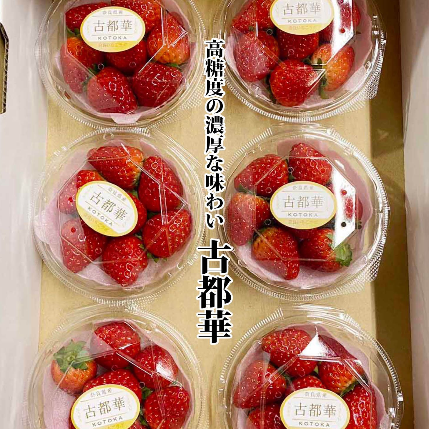 奈良県産 ブランドいちご 古都華 1ケース（6パック入）