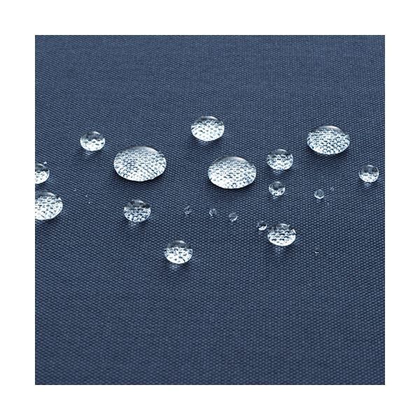 ライブディオZX 確認用 (発売ではない） ライブディオZXとは？ニセモノ