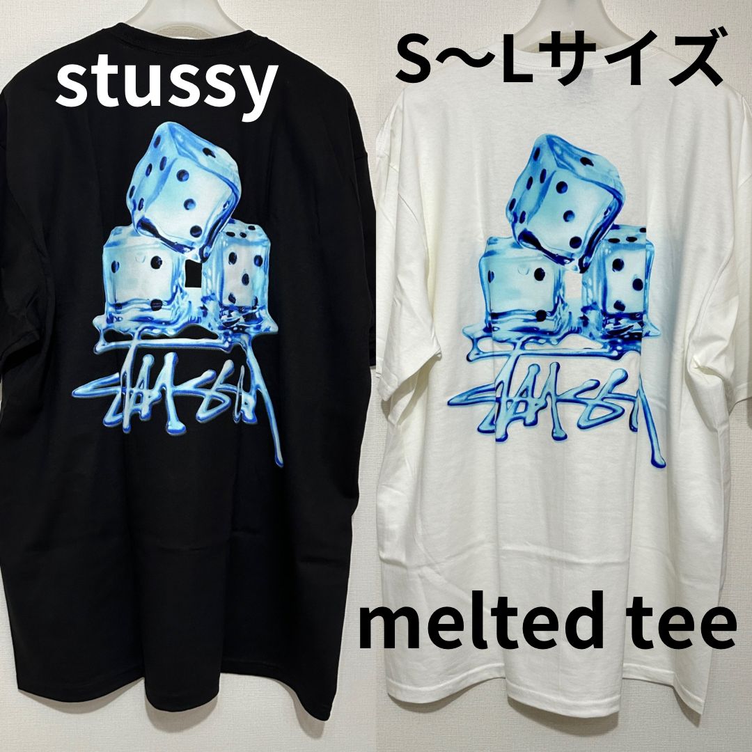 丈約65センチ￼stussy ステューシー MALTED TEE ダイズ M - www