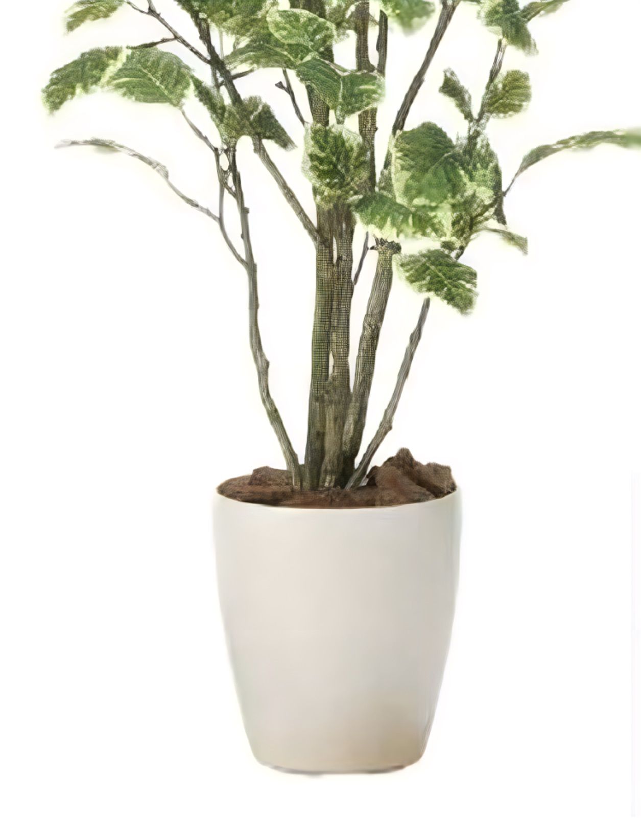 光触媒 人工観葉植物 ウォールグリーン フェイクグリーン ポリシャス