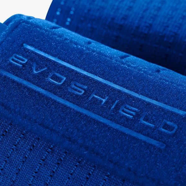 エボシールド EVOSHIELD