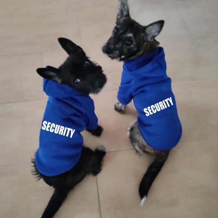 犬 服 冬 暖かい 男の子 パーカー 可愛い 女の子 あったか ペット服 大型犬 小型犬 中型犬 秋冬 チワワ服 トイプードル服 ヨークシャテリア服 ペット 冬服 袖あり 冬用 防寒 抜け毛防止 おも ratei0384 STEELWINDOWSANDDOORS_COM