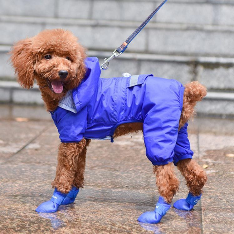 犬 靴 ストア シリコン