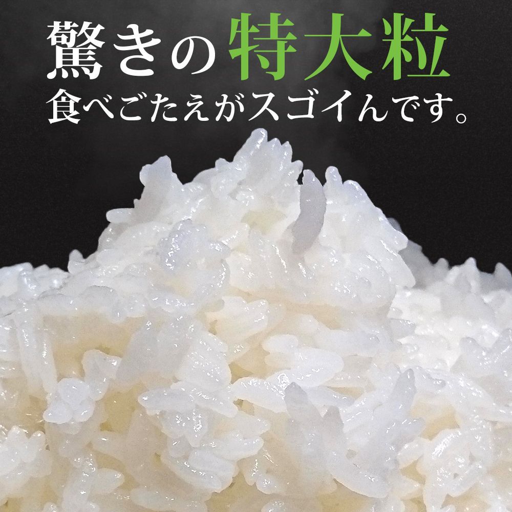 山形県産 令和6年産