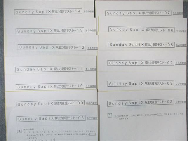 SAPIX サピックス SS特訓 解法力 全14回分フルセット 【復習テスト計13 