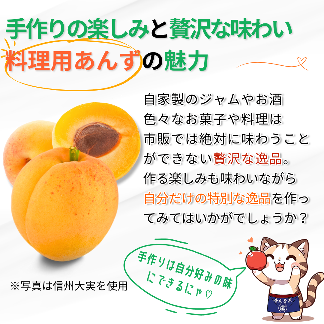 小玉あんず～杏シロップ・杏酒用～【内容量】約1.8kg【配送方法】クール配送【サイズ】L以下【品目】杏（あんず）【品種】当店お任せ【産地】長野県【規格】ご家庭用A品B品混合【詰め方】バラ詰め【配送までの日数】1～4日
