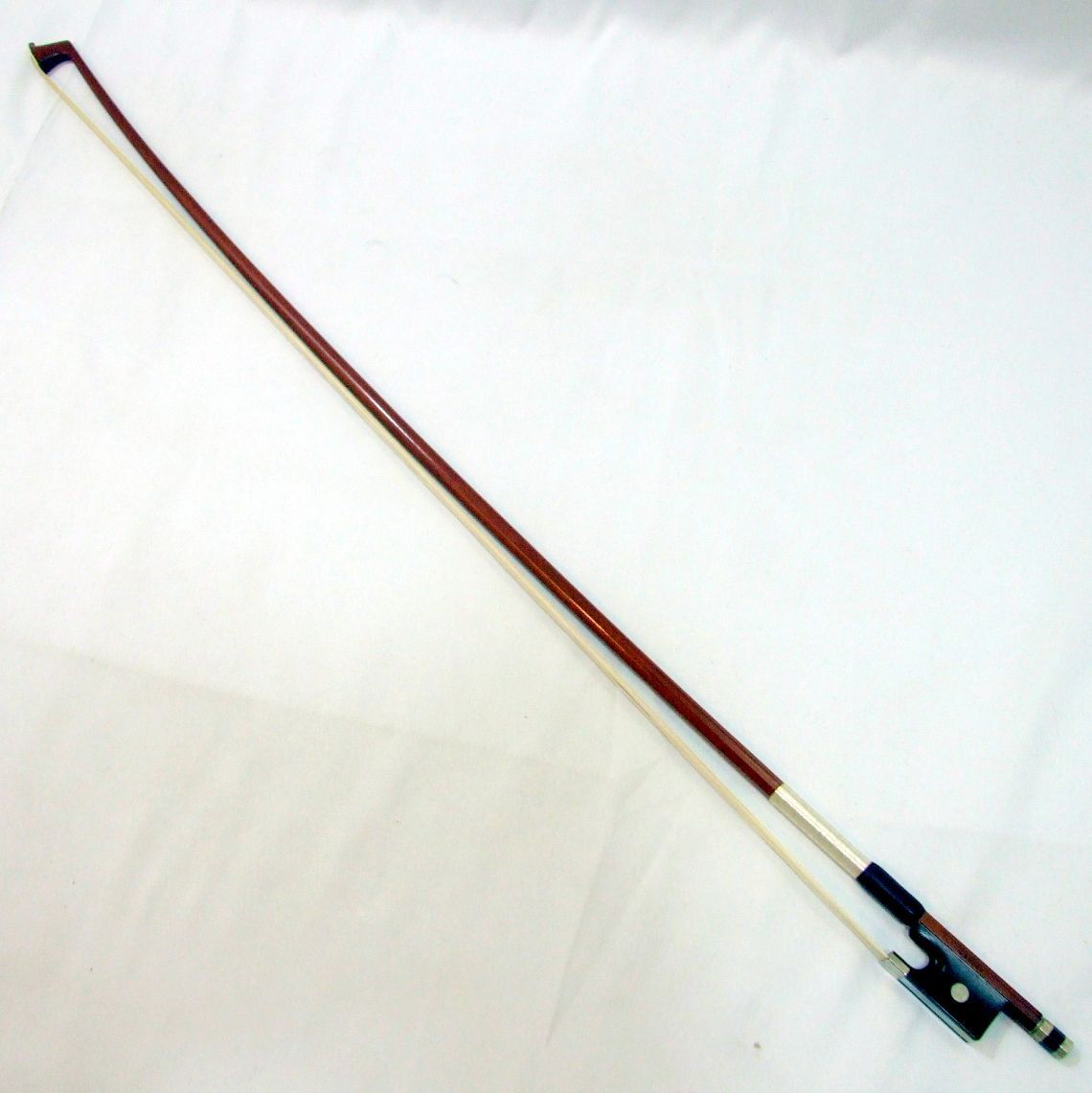 スズキバイオリン