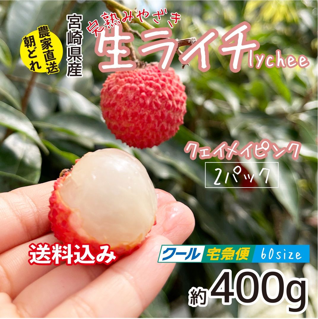 完熟みやざき生ライチ クェイメイピンク 希少 国産 宮崎県産 約400g 新鮮 果実 トロピカル こだわり 農家直送 産地直送 クール便 送料込み -  メルカリ