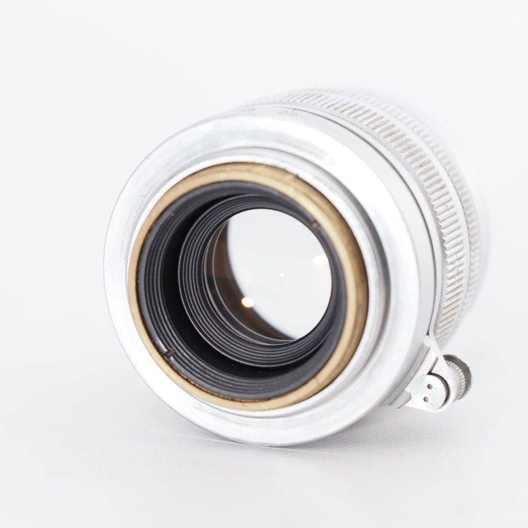 星空 龍球会産 子株 星空 龍球会産 子株 発根済 管理No.58690028