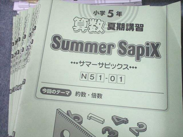 SAPIX 小5 算数 デイリー/サマーサピックス/サポート 2023年度版 SAPIX 小5 算数 デイリー/サマーサピックス/サポート 2023年度版
