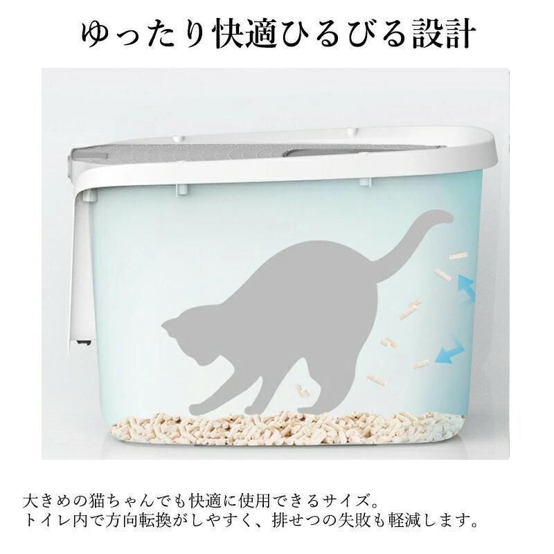 大きめ 掃除簡単