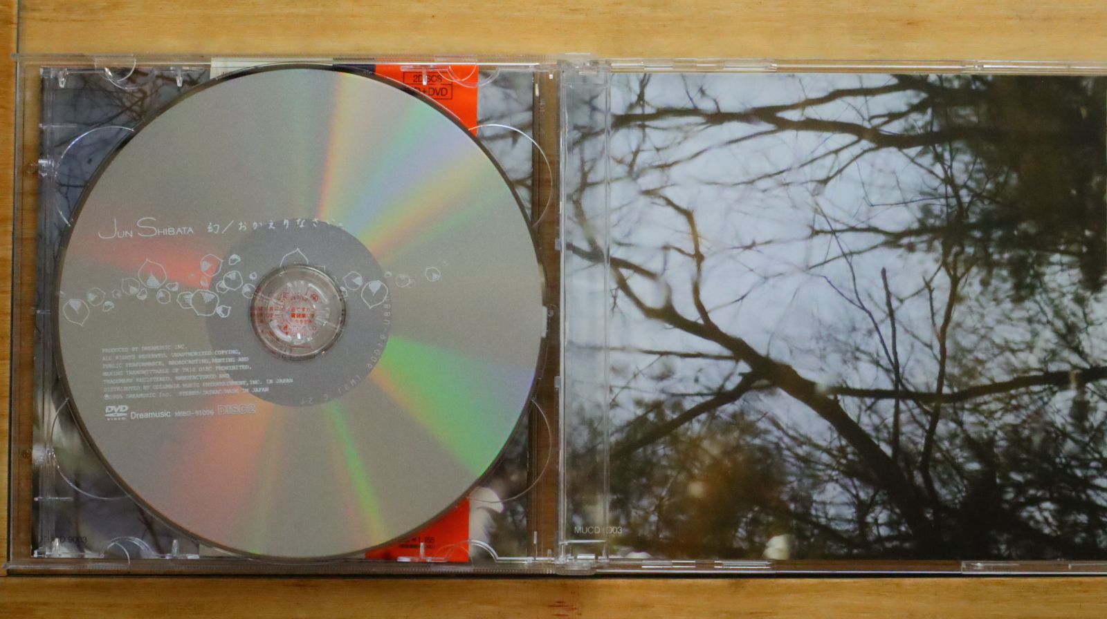 国内盤CD☆柴田 淳/Jun Shibata□ 幻/おかえりなさい。(初回)(DVD付