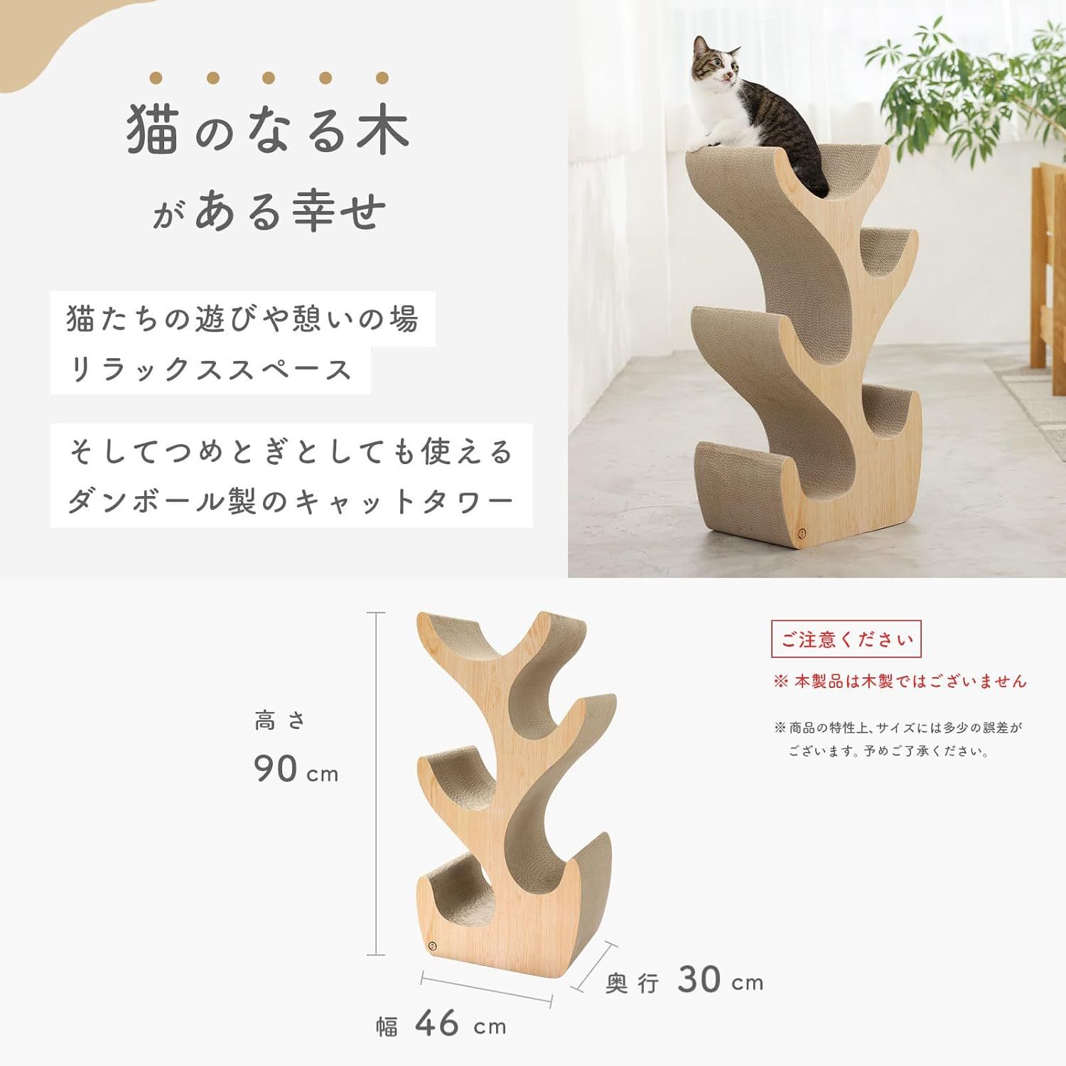 猫壱 Necoichi