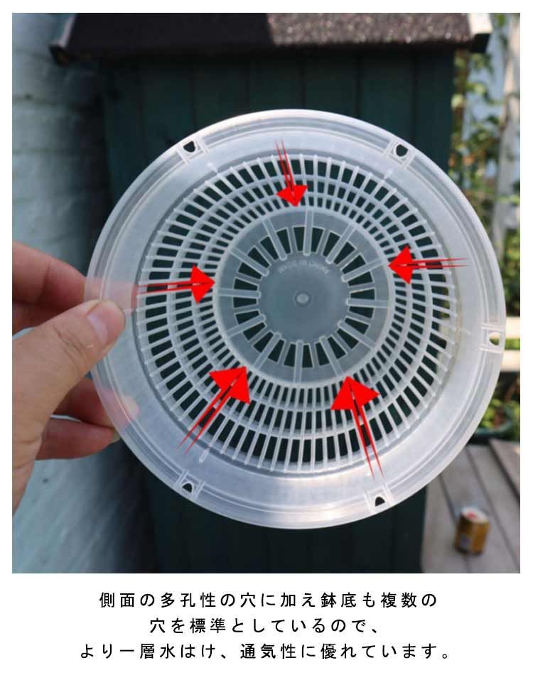 THE BOTANIC GARDEN 皿 6枚セット 41QwXnWhfcL.jpg_BO30,255,255,