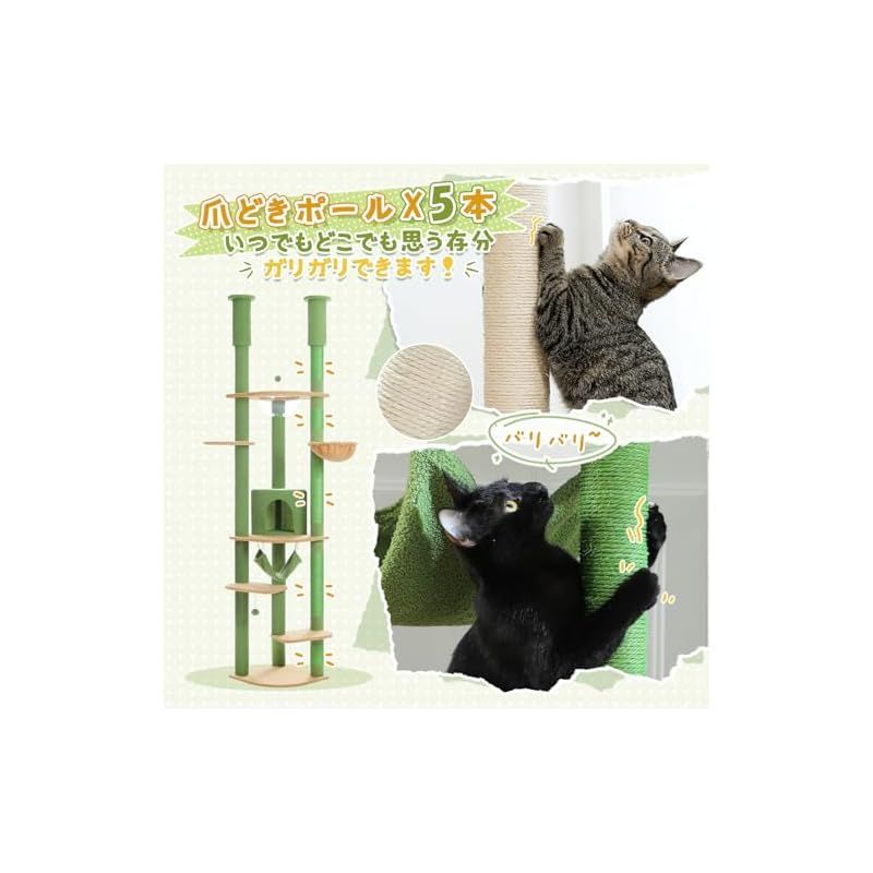 多頭飼い -