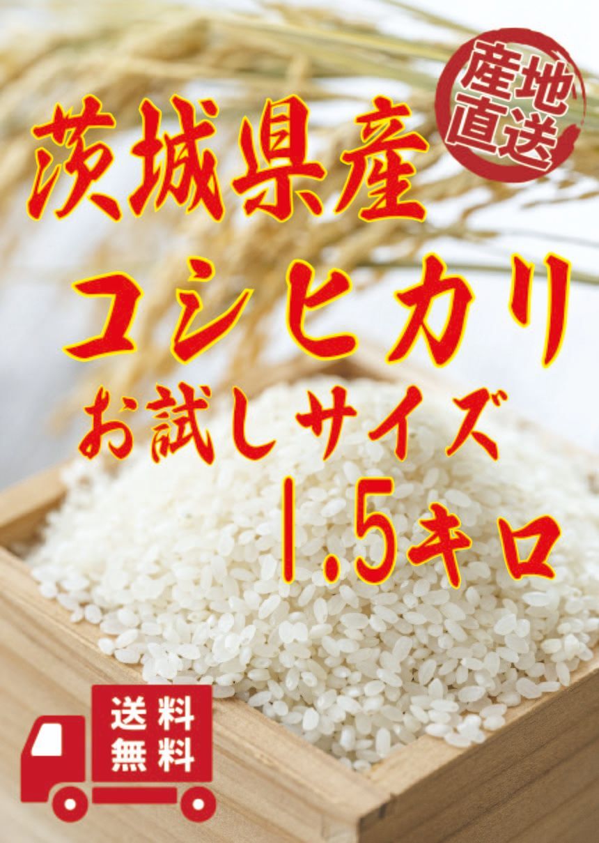 令和4年度新米！茨城県産コシヒカリ1.5キロ(白米)　お試しサイズ　お米　新米