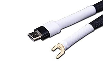 -非常に良い KOJO TECHNOLOGY Clone1UC アースケーブル 1.2m USB TYPE C-Y型端子 M4推奨