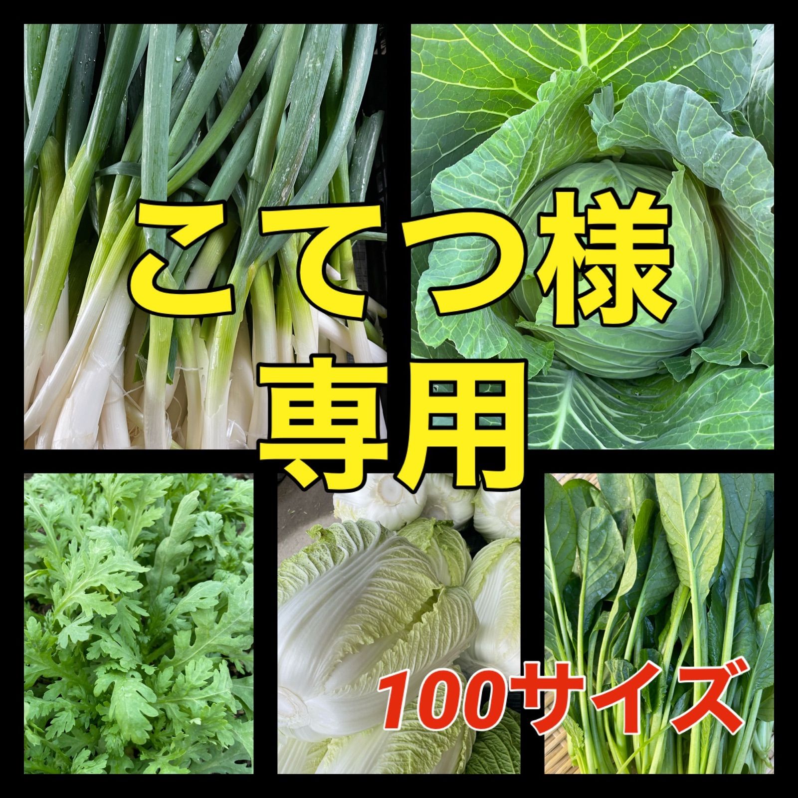 こてつ様専用 野菜詰め合わせ - メルカリ