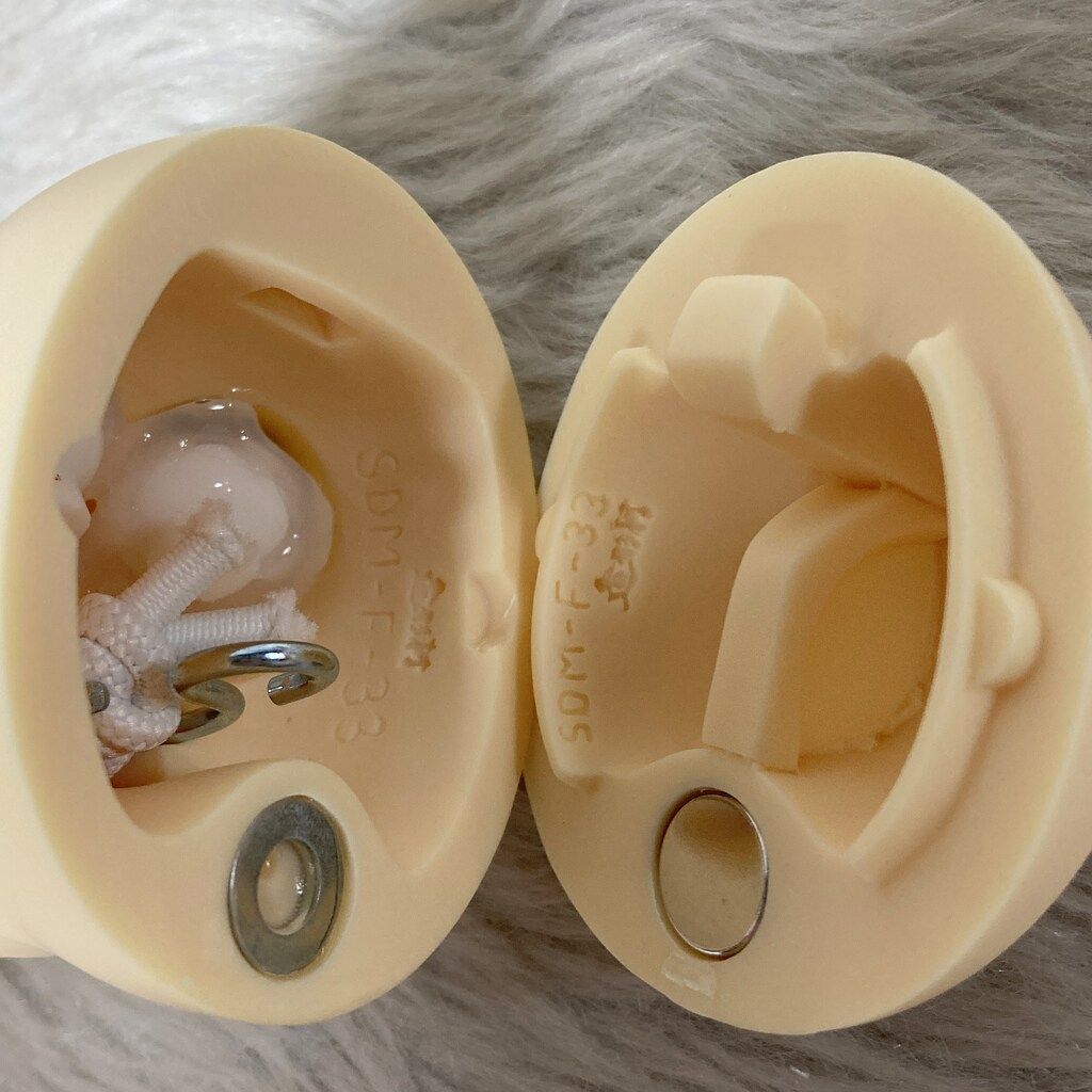 SDM女の子 コーディネートモデル