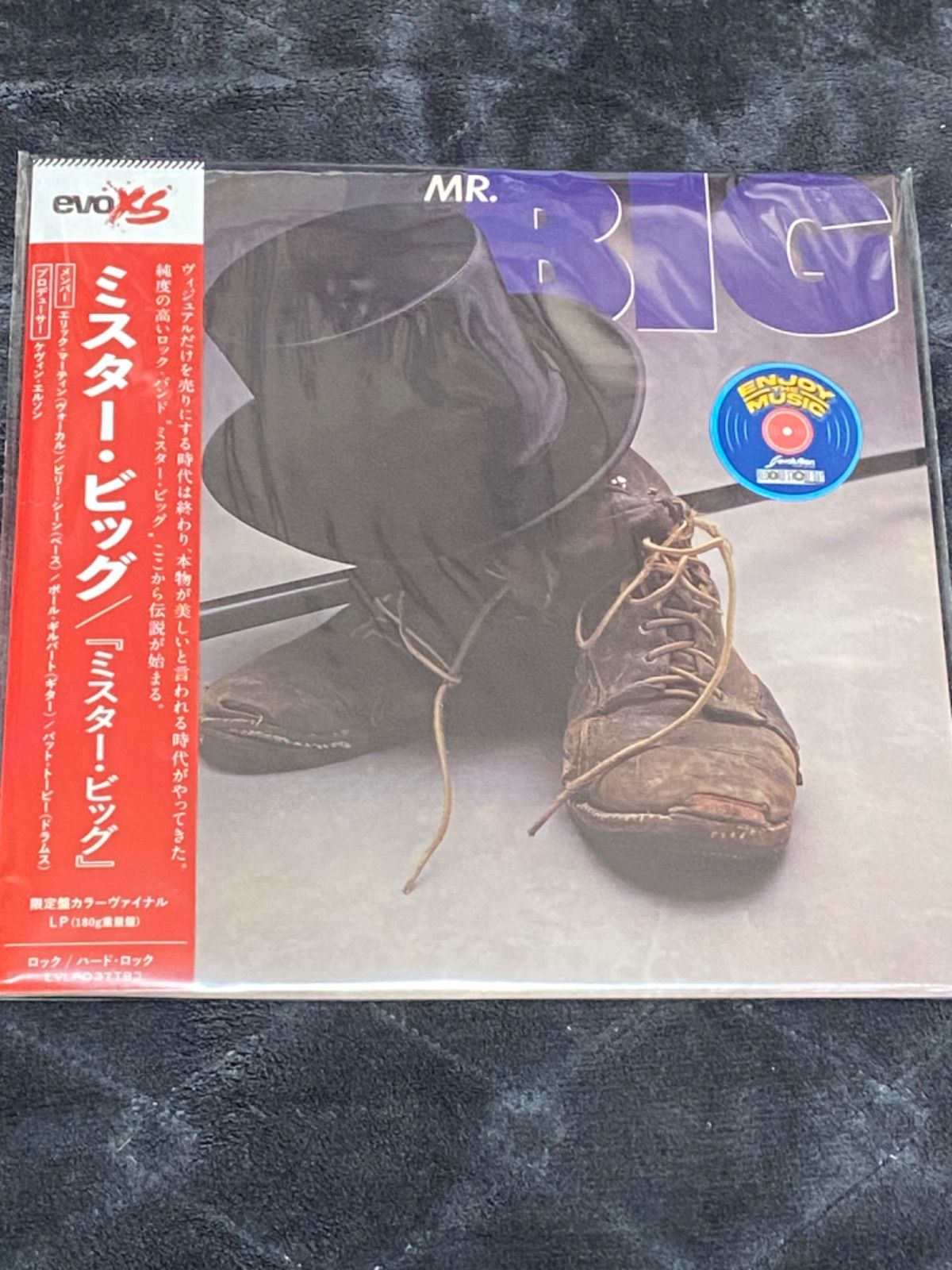 MR.BIG ミスター・ビッグ 1st RSD限定レコード - 洋楽