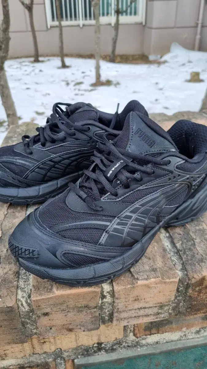 PUMA PUMA(プーマ) ベロパシス PRM 260