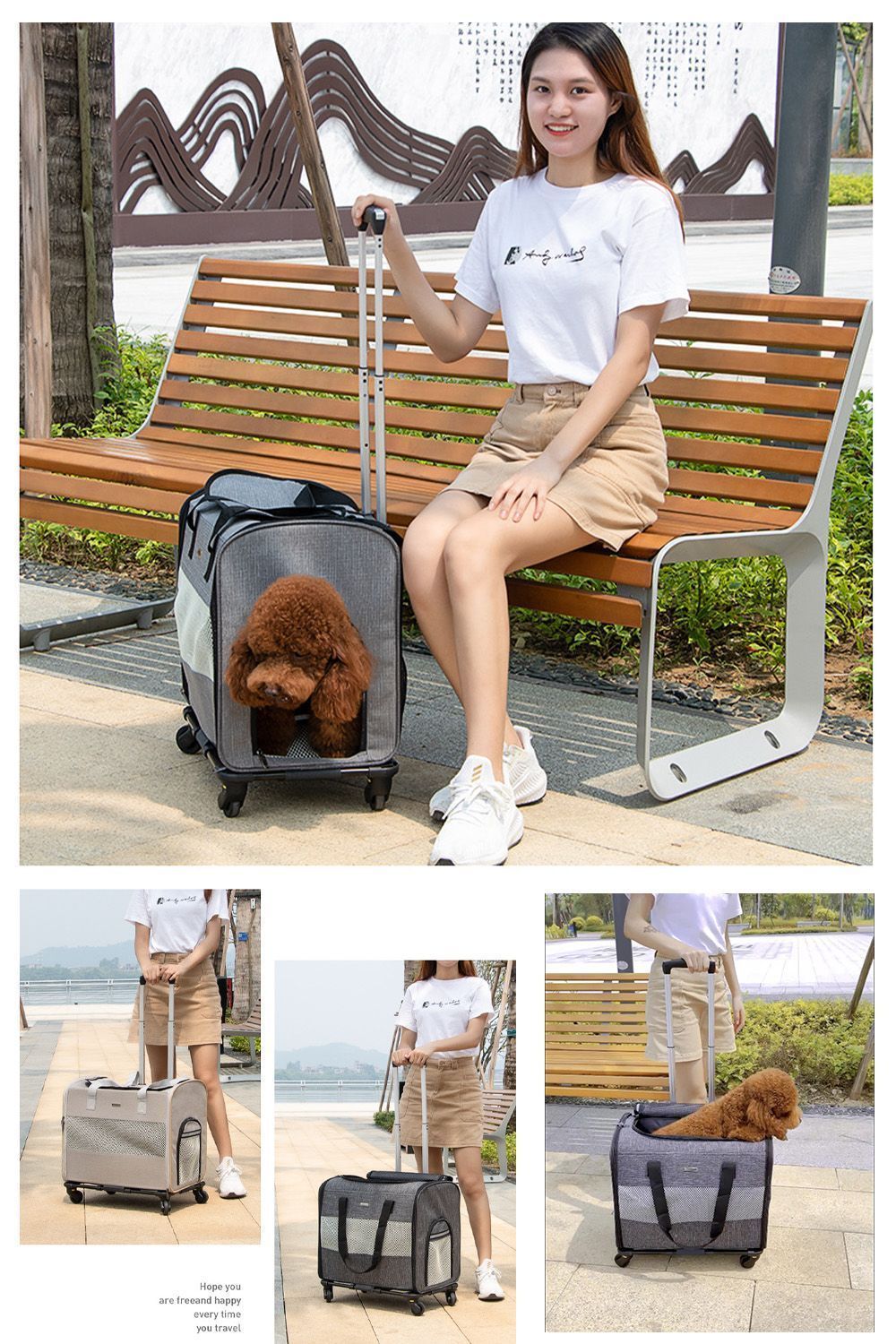 犬