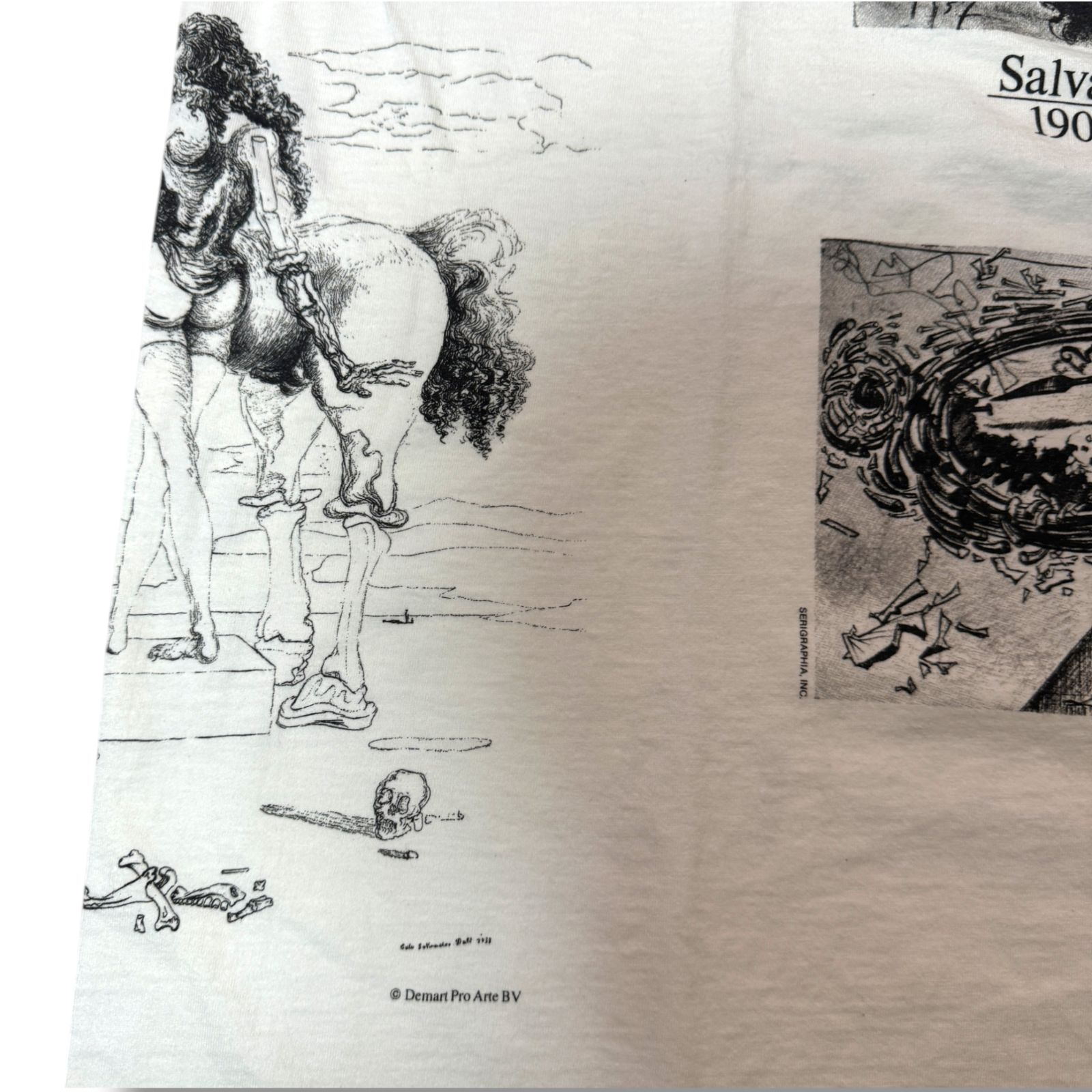 80s - 90s アートTシャツ Salvador Dali サルバドールダリ Lサイズ 