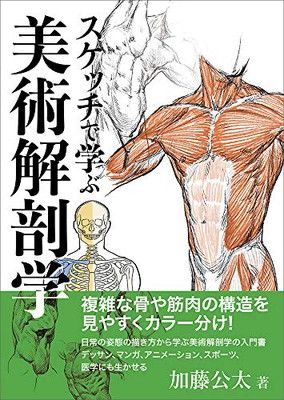 スケッチで学ぶ美術解剖学