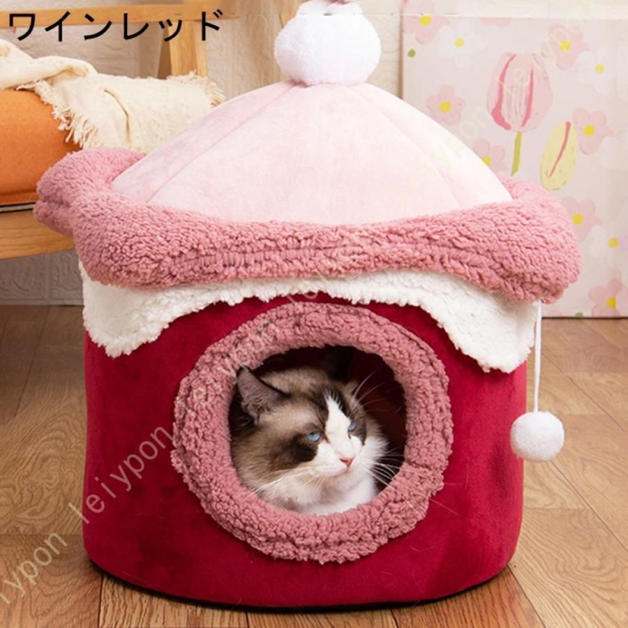 ハウス