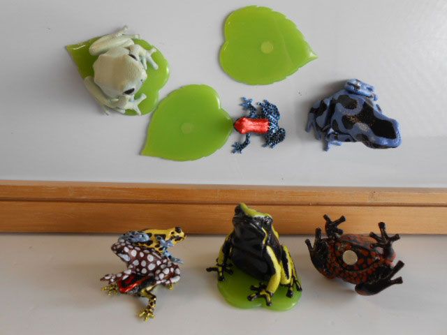 ♯Jpi13FzネイチャーMONOヤドクガエル2ストラップマグネット16種