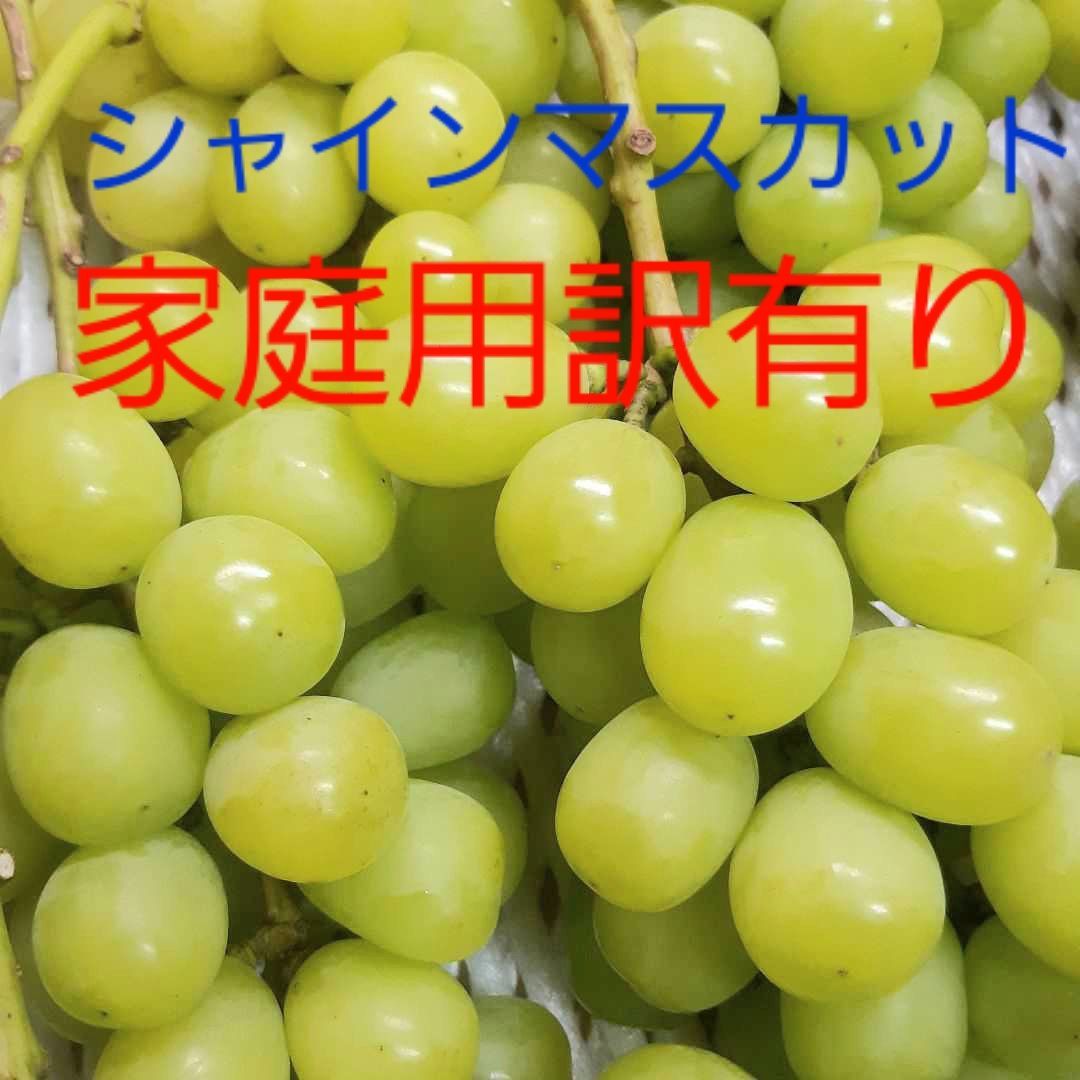 シャインマスカット家庭用3キロ入り