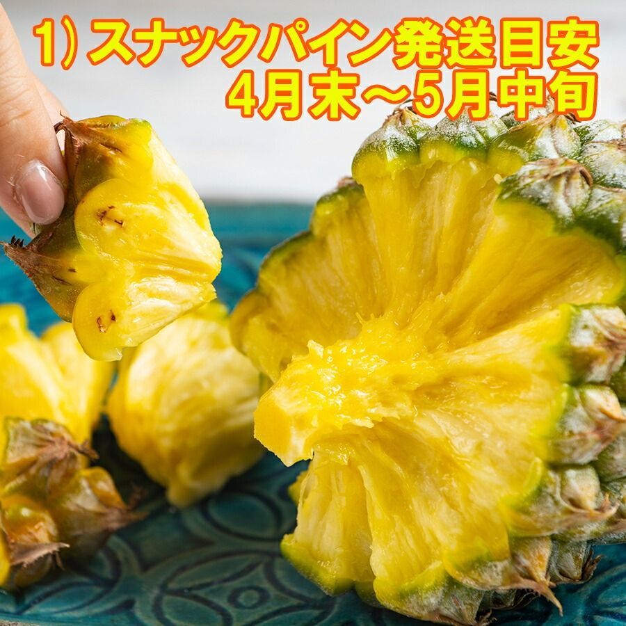 ハワイパイン約2kg