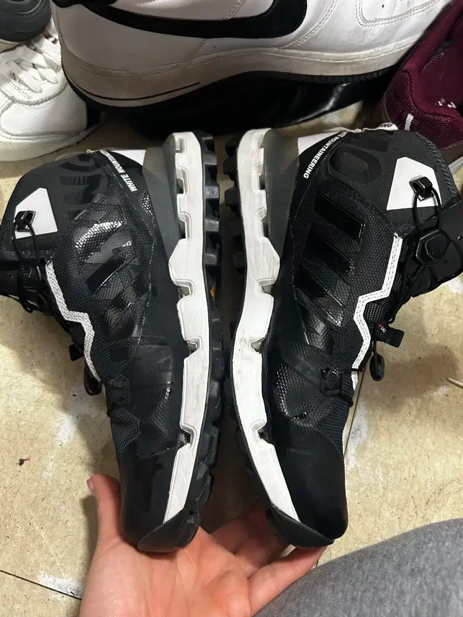 白 登山