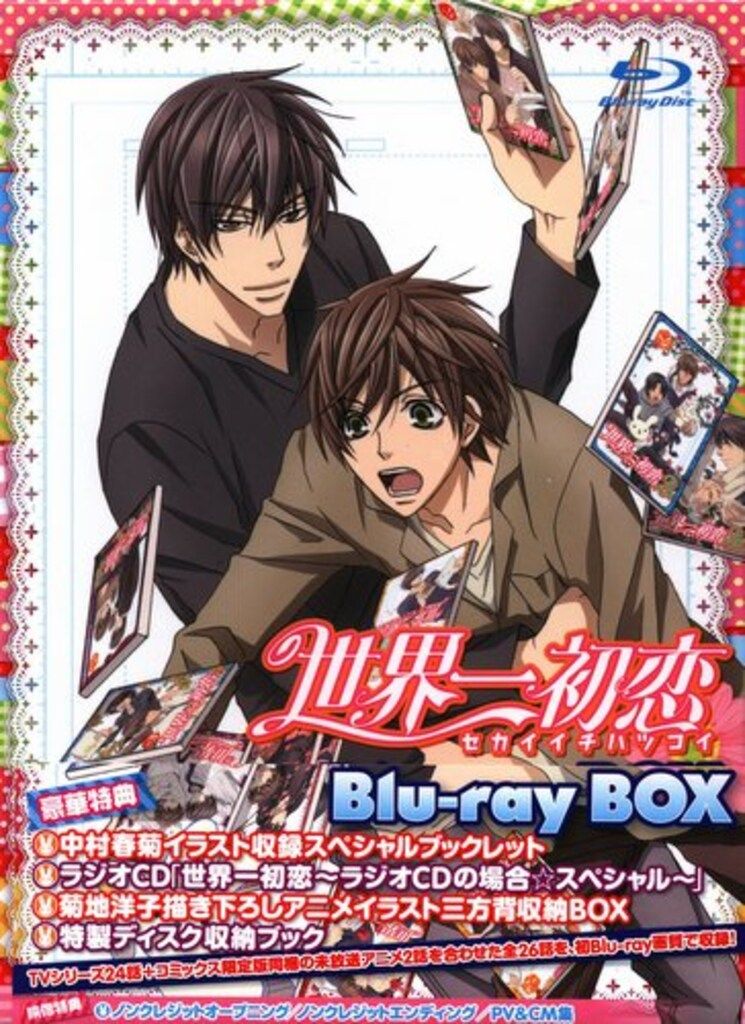 小説＆限定版＆特装版付き♪【純情ロマンチカ／世界一初恋／海