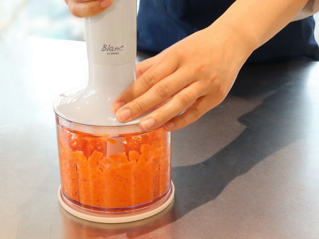 ハンドブレンダー デリスティック ホワイト 1個 SKLAD-KIRPICHA_RU