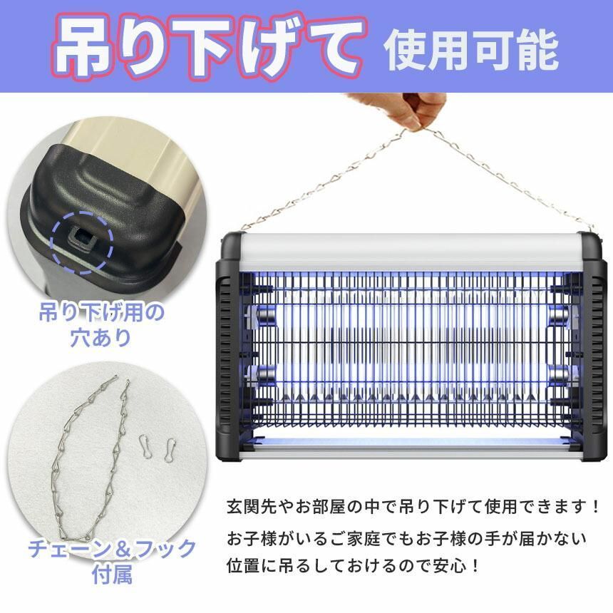 原種洋蘭大図鑑 白石茂著 原種洋蘭大図鑑 Amazon.co.jp: 原種洋蘭大