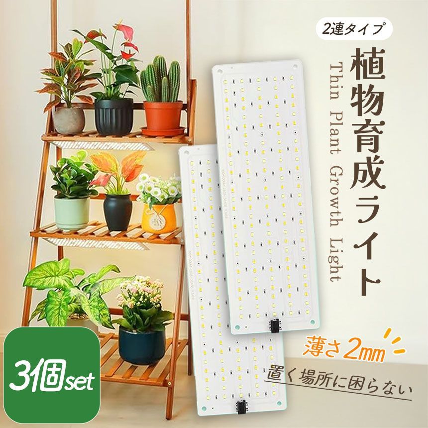 桐製わかさぎ電動リ一ル k-zan桐電動リール グレイス(右仕様)使用数回美品