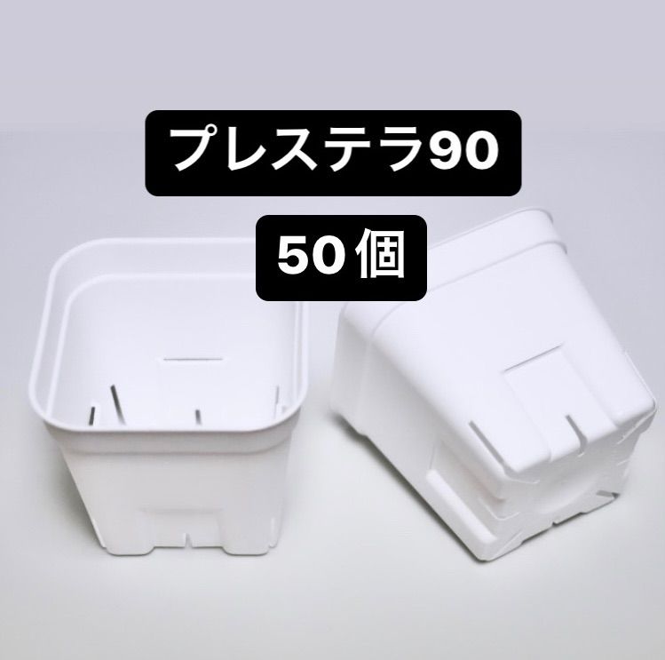 スリット鉢】プレステラ90白50個 多肉植物 プラ鉢 - フラワー/ガーデン