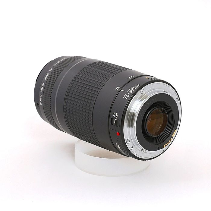 Canon EF75-300|4-5.6