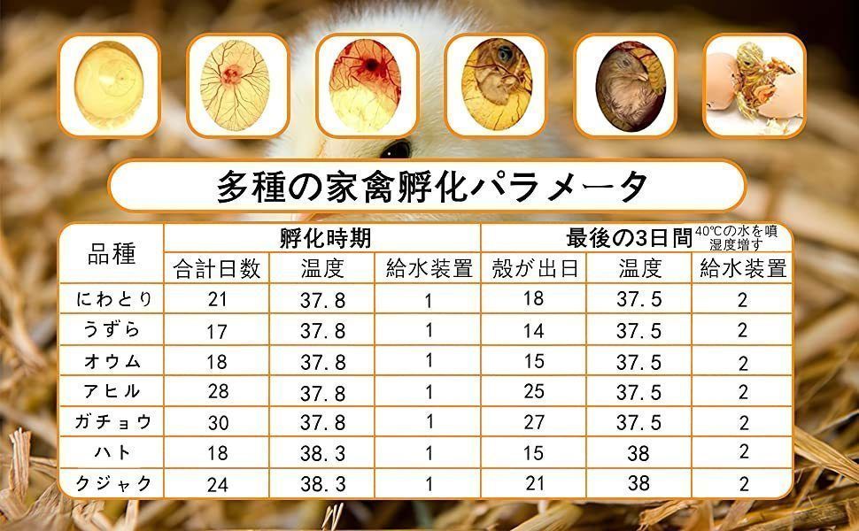 【即日発送】 最新自動孵卵器 インキュベーター 鳥類 ふ卵器 恒温器 孵化器 アヒル 自動転卵式 鶏卵 アヒル うずら 恒温孵化器 枚 操作ビデオ付き 24 先着タイムセール実施中!