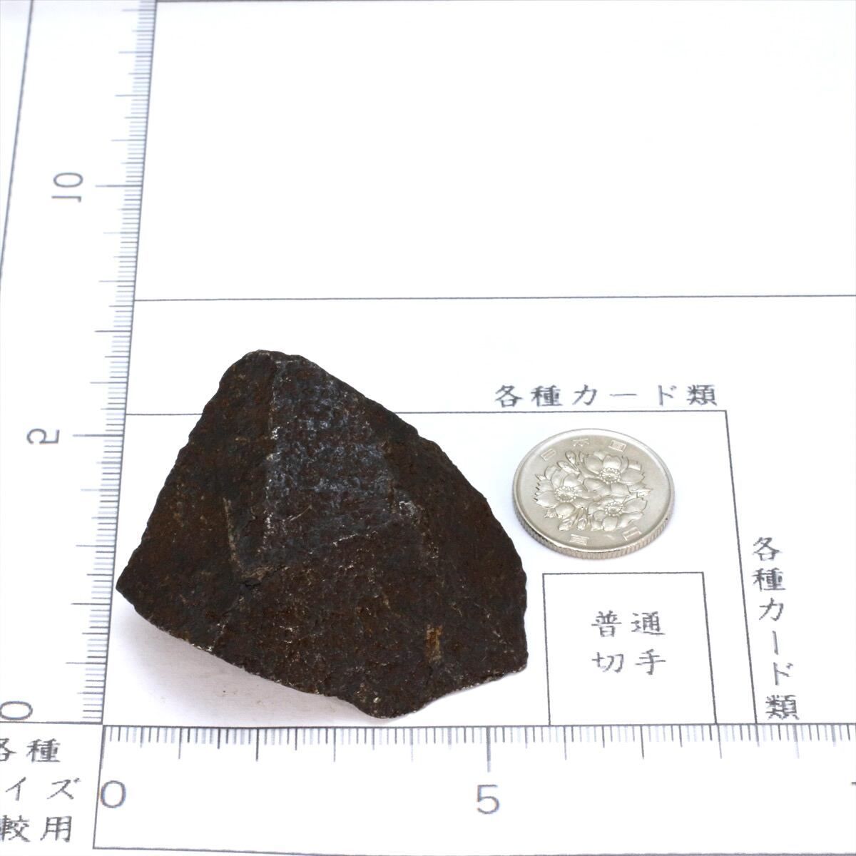 キャニオンディアブロ 隕石 127g オクタへドライト 鉄隕石 原石 M2508 キャニオンディアブロ 隕石 127g オクタへドライト 鉄隕石 原石