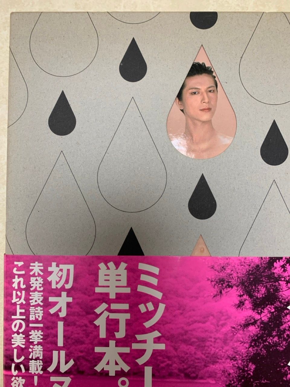 続・欲望図鑑 及川 光博 - メルカリ