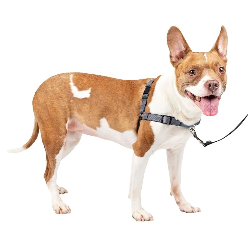 PetSafe ペットセーフ 犬用 ハーネス デラックスイージーウォークハーネス M スチールシルバー|ブラック 引っ張り防止 散歩 トレーニング 1