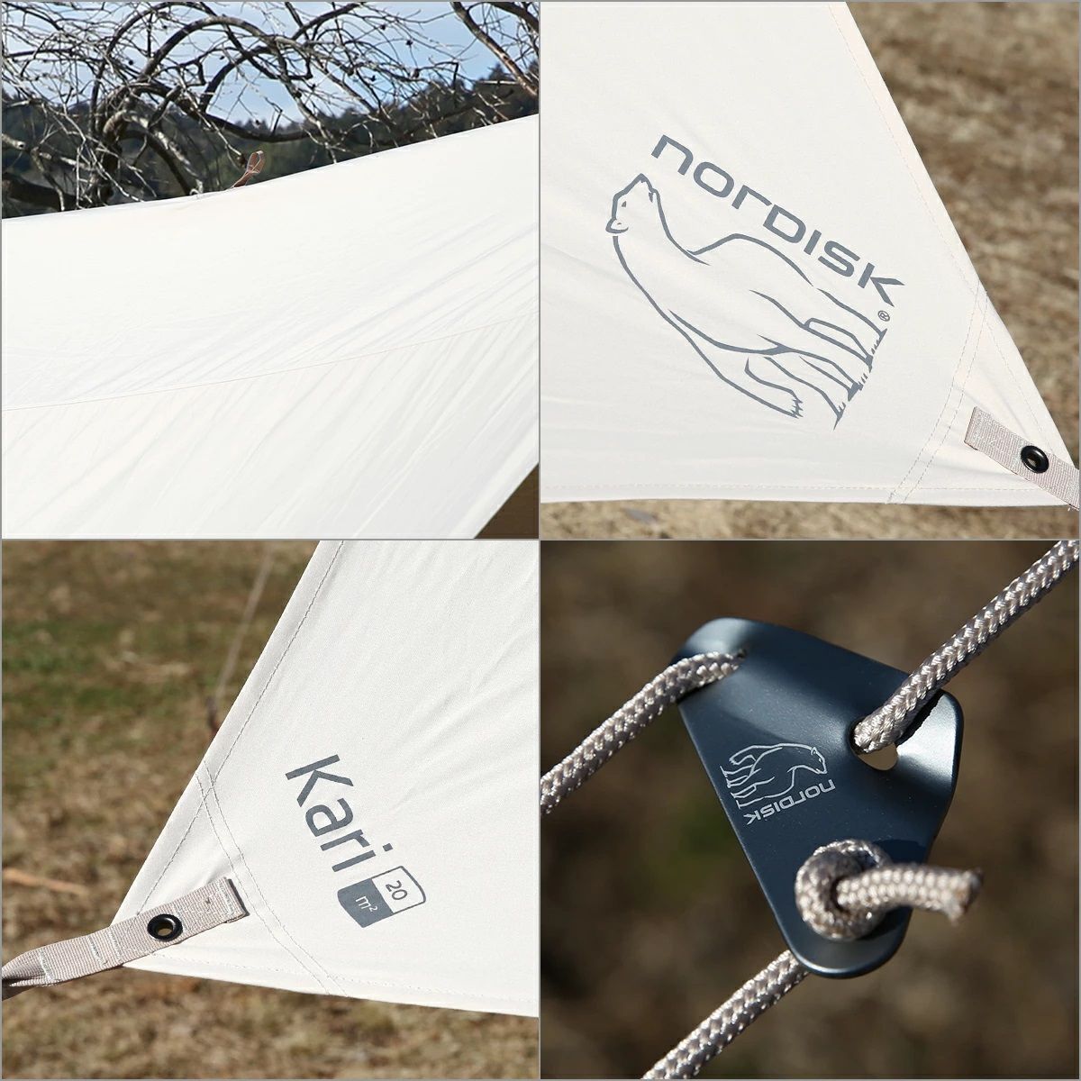 Tarp