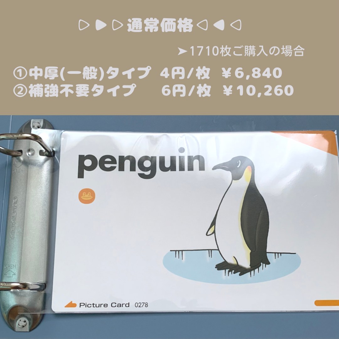 ペッピーキッズ カード収納袋 ピクチャーカード 特厚リフィル 1710枚