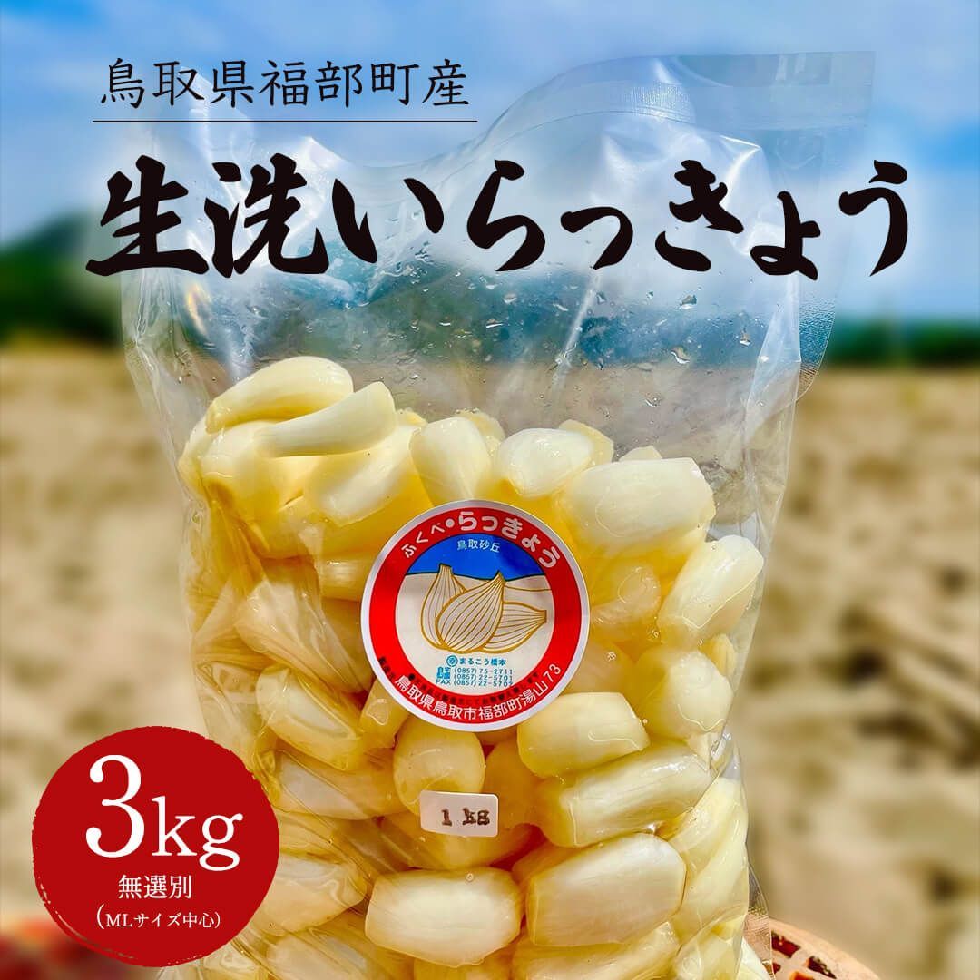 鳥取県福部町産 生洗いらっきょう 塩水で芽止め処理済 3kg 1kg×3袋 サイズ無選別 ML中心 6月中旬