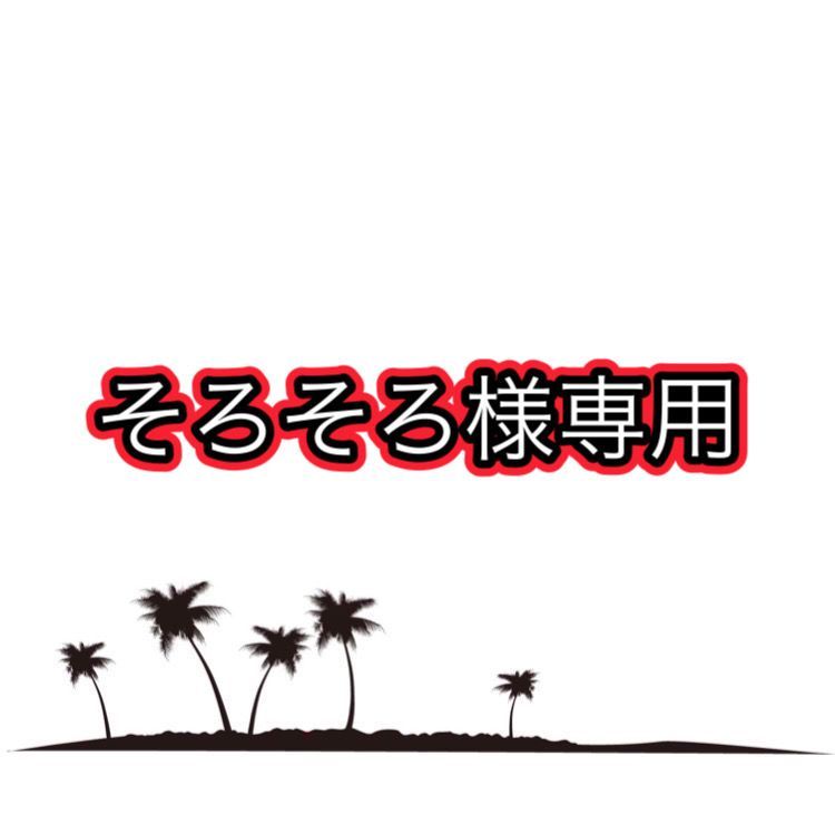 そろそろ様専用【抜き苗】4本 ワシントンヤシ washingtonia filifera