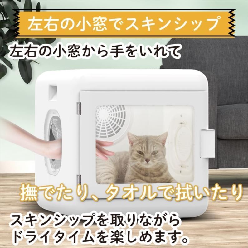 猫 乾燥