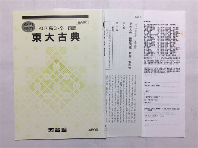 河合塾 夏期講習 東大古典 - 参考書