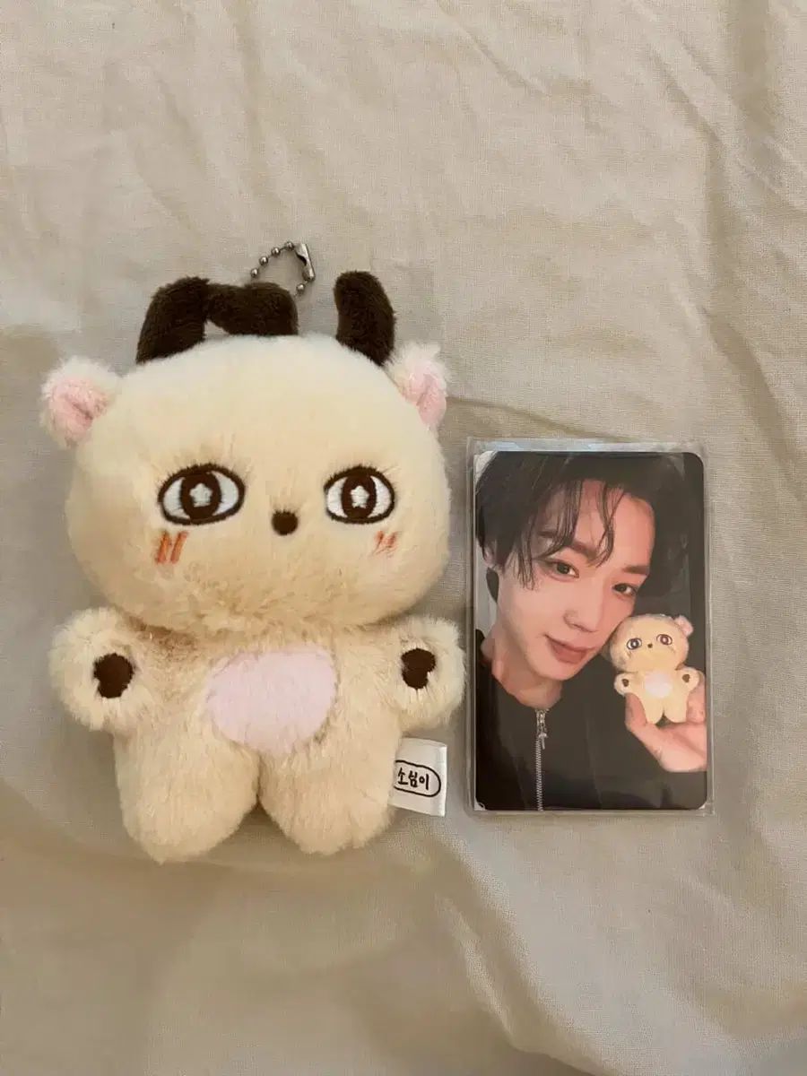 B（ ゲーム・おもちゃ・グッズ パクジフン センイルカフェ